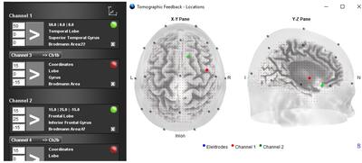 Tomographic feedback module for BEE Lab software